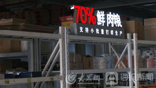 山東一貫寵物用品公司 以高質量產品沖刺 寵物經濟 賽道